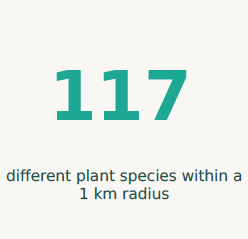 Number of Plant Species